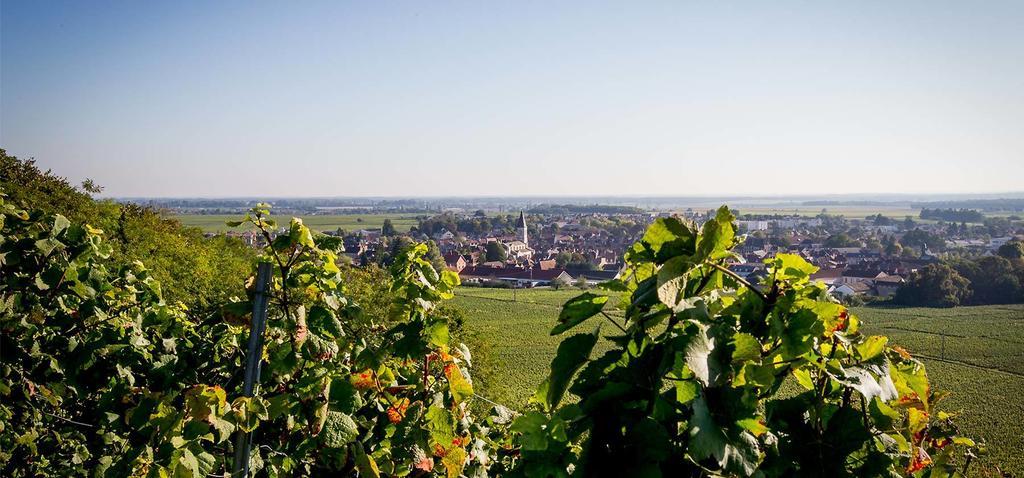 Hostellerie St Vincent Nuits-Saint-Georges Eksteriør billede